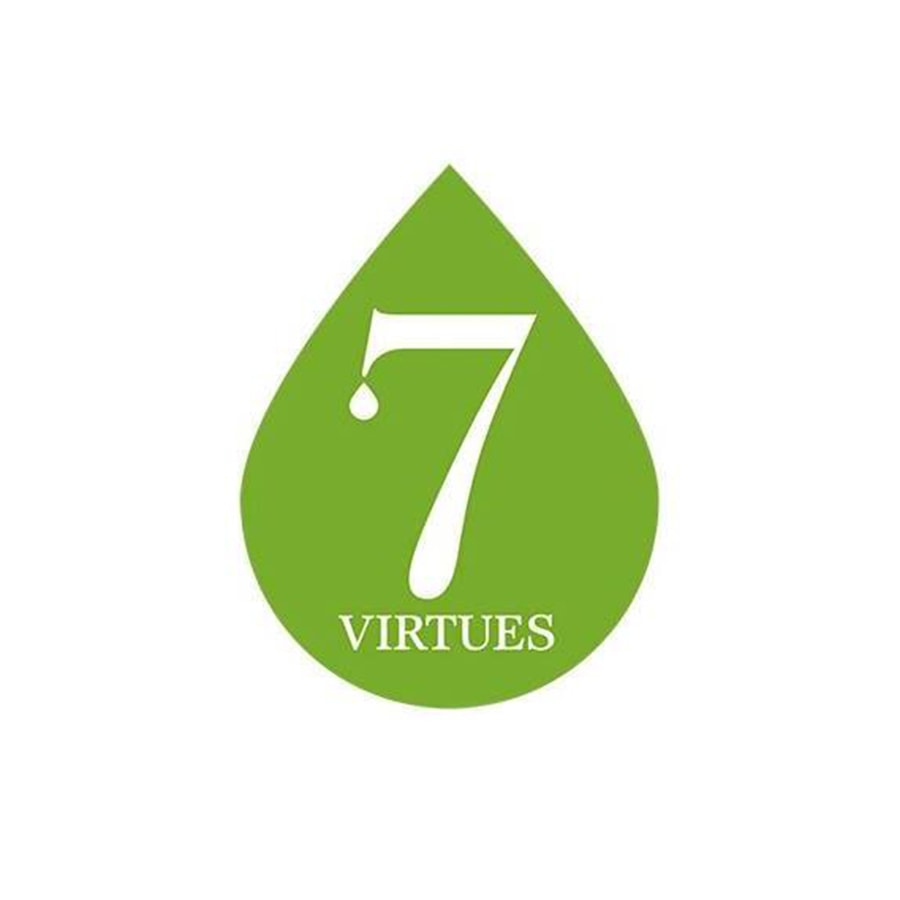 7 Virtues